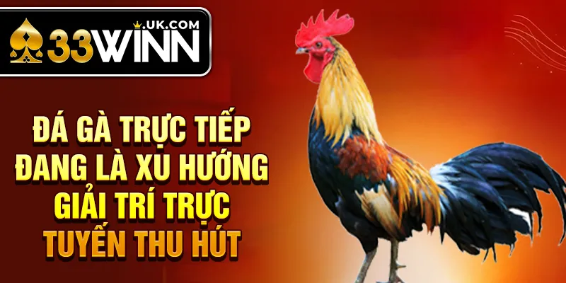 Đá gà trực tiếp đang là xu hướng giải trí trực tuyến thu hút