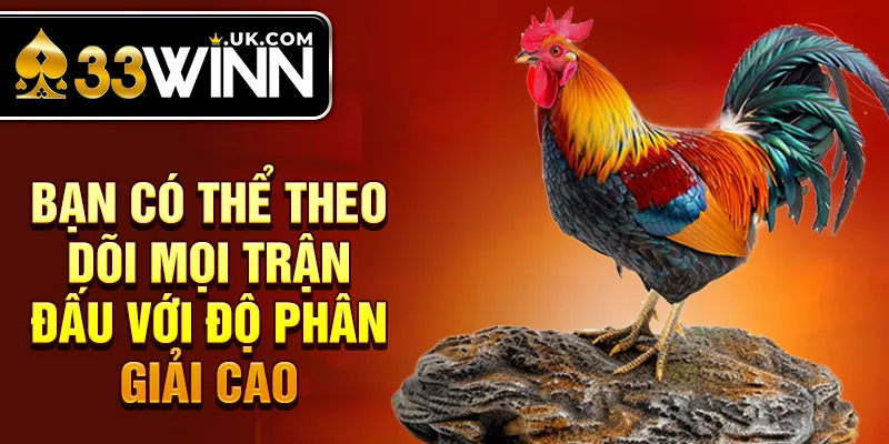 Bạn có thể theo dõi mọi trận đấu với độ phân giải cao