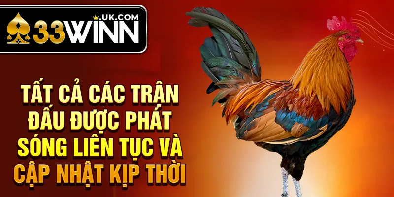 Tất cả các trận đấu được phát sóng liên tục và cập nhật kịp thời