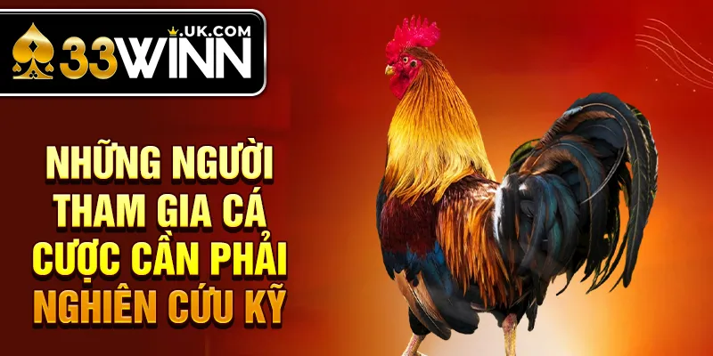 Những người tham gia cá cược cần phải nghiên cứu kỹ 