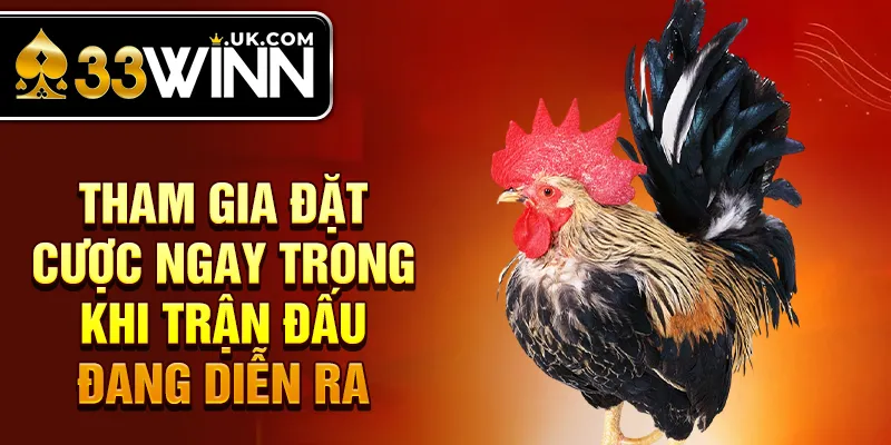 Tham gia đặt cược ngay trong khi trận đấu đang diễn ra